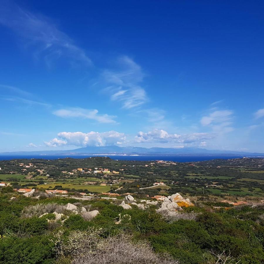 B&B Bell'Alba Santa Teresa Gallura Eksteriør billede